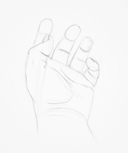 male hand sketch in pencil