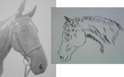 Horse drawing - Bobbys Hand Drawn Portraits.