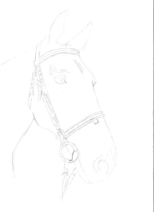 Horse Head Sketch, Abstract Other by OnlyYouCan - Foundmyself
