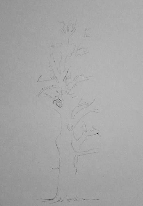Tree Drawing  30