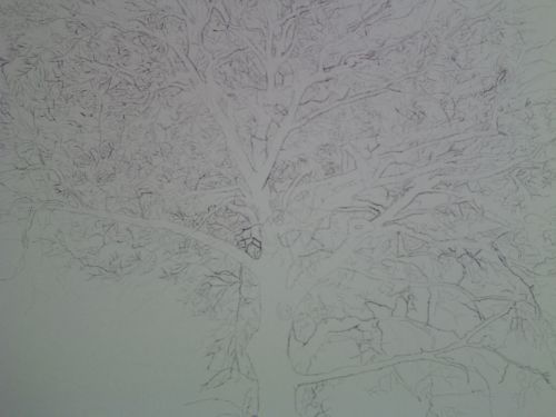 Tree Drawing 41